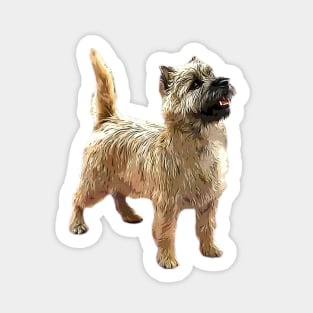 Cairn Terrier Beautiful dog Sticker